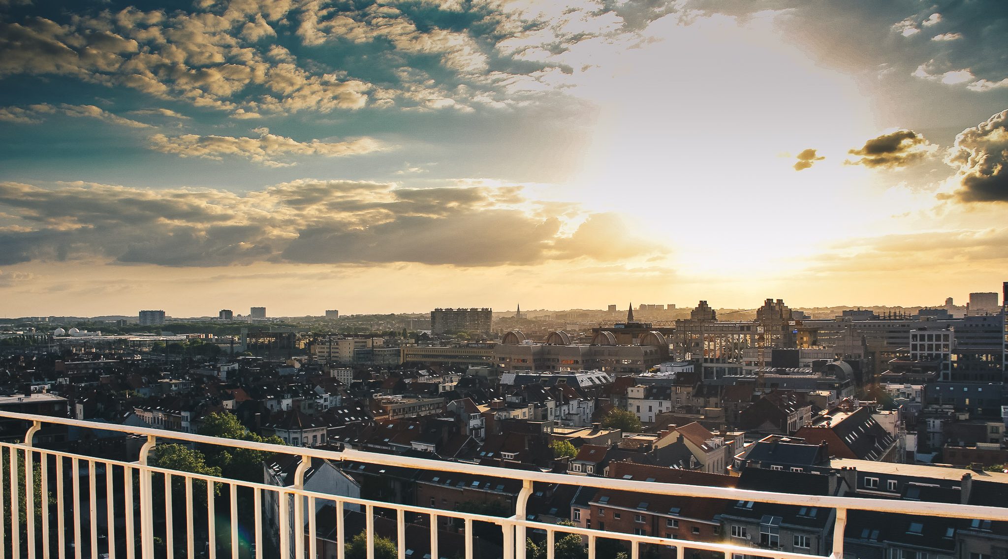housesitting bruselas