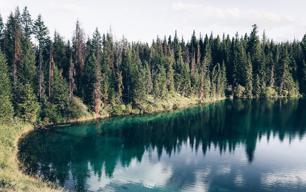 parque nacional jasper
