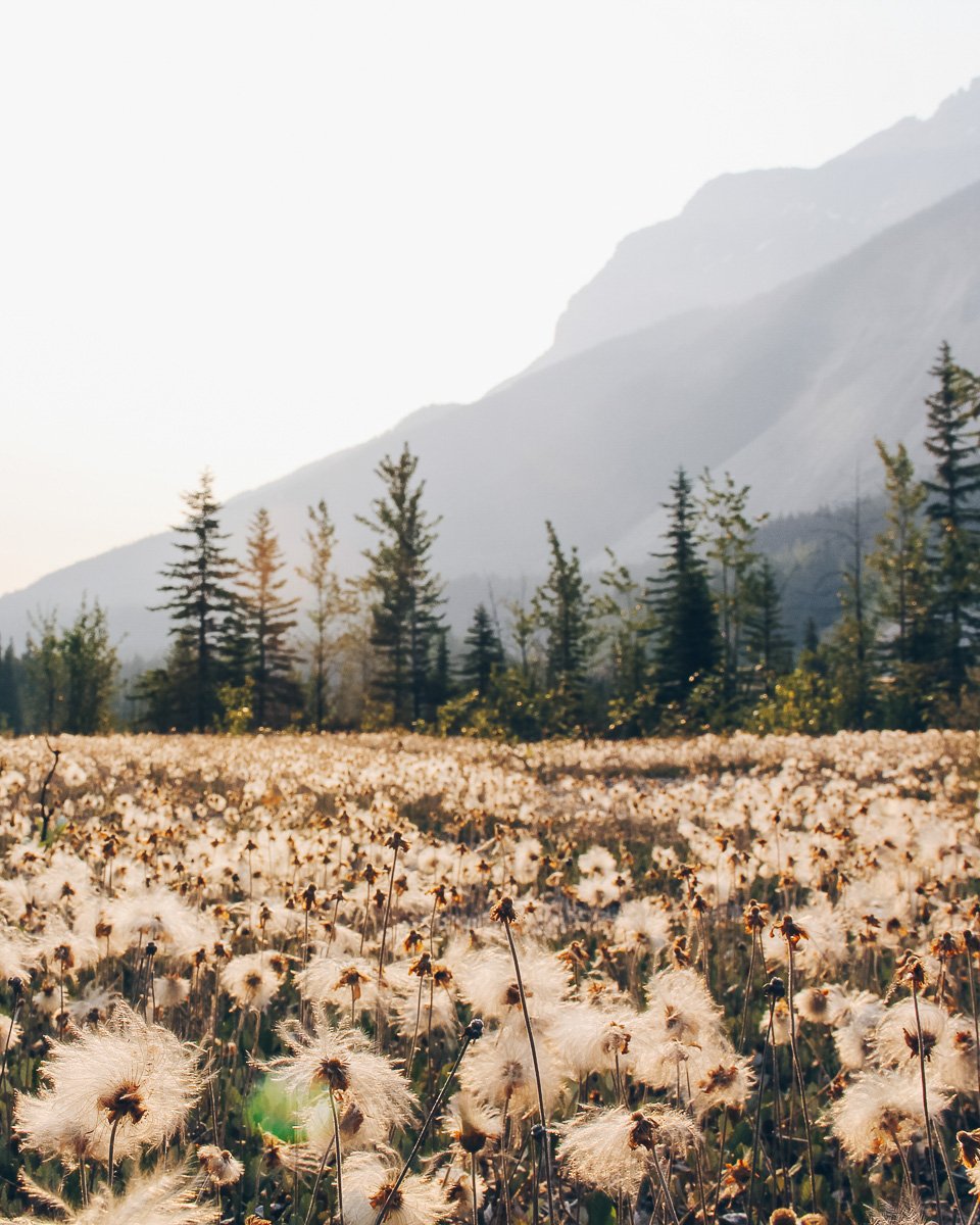 parque nacional yoho