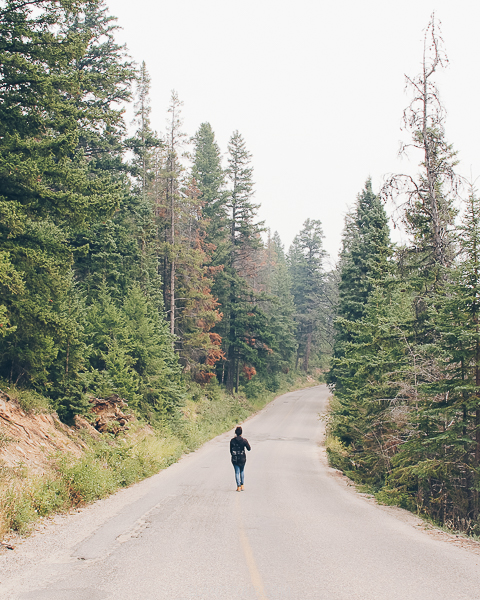 10 razones para viajar por la ruta Panamericana