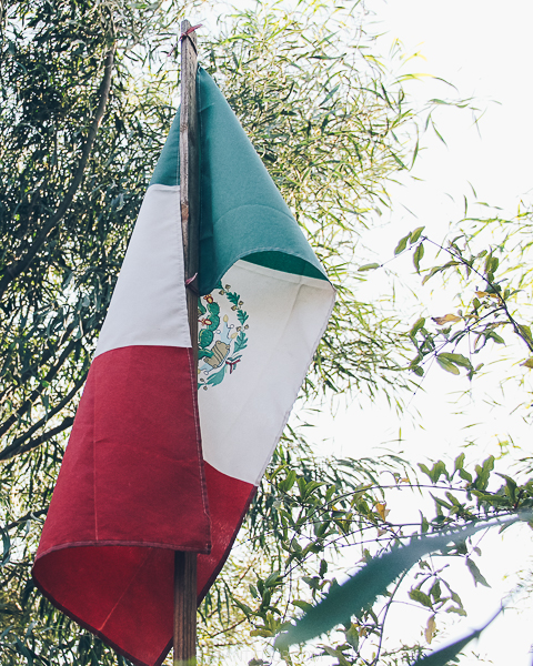 10 razones para viajar por la ruta Panamericana