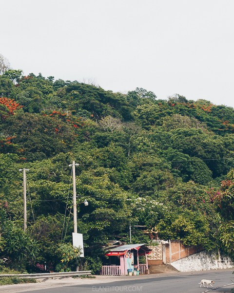 10 razones para viajar por la ruta Panamericana