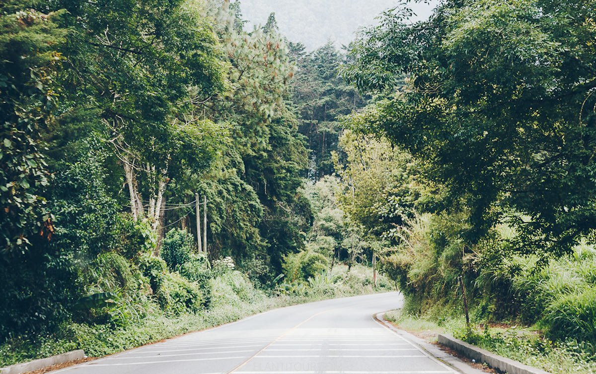 Las mejores rutas de la Panamericana