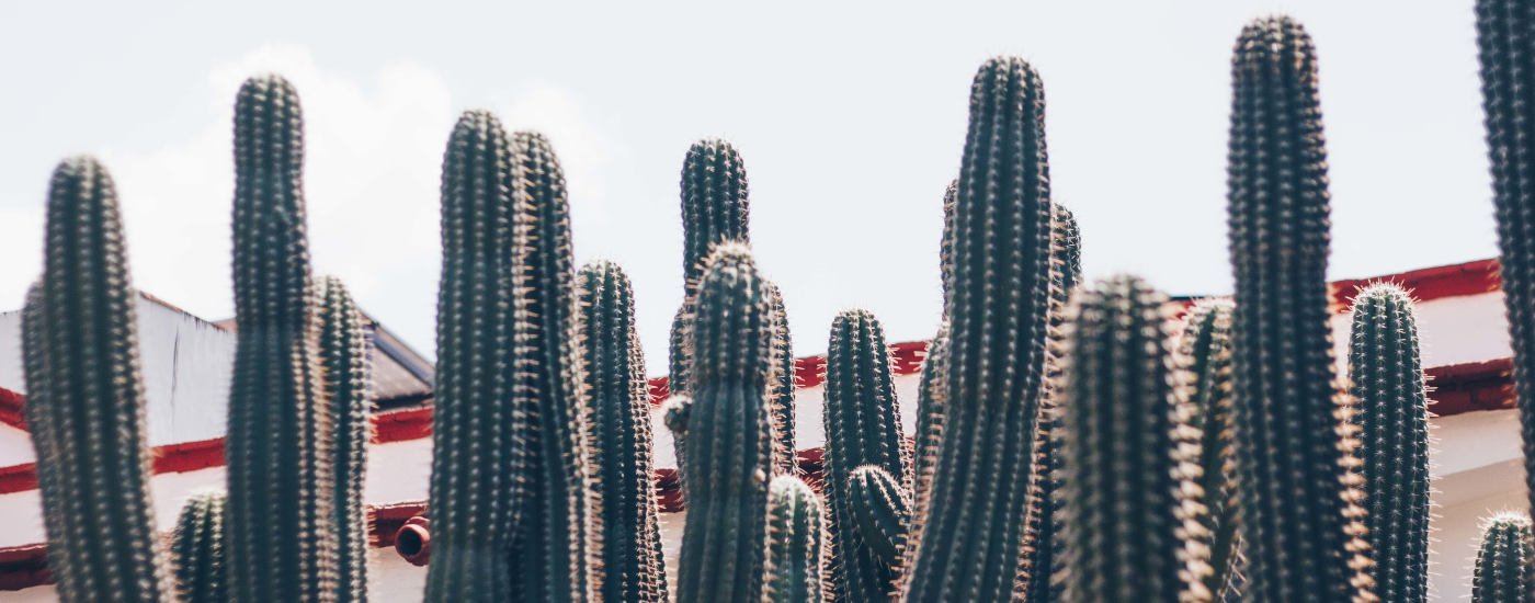 es seguro viajar a mexico