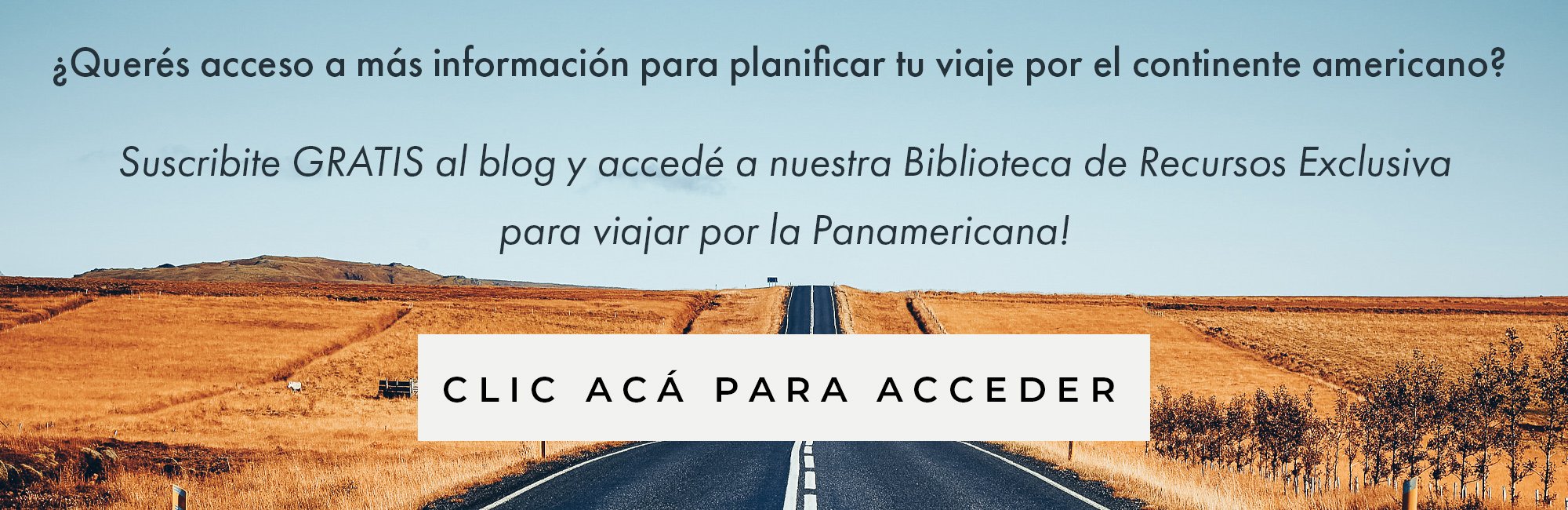 ruta panamericana biblioteca