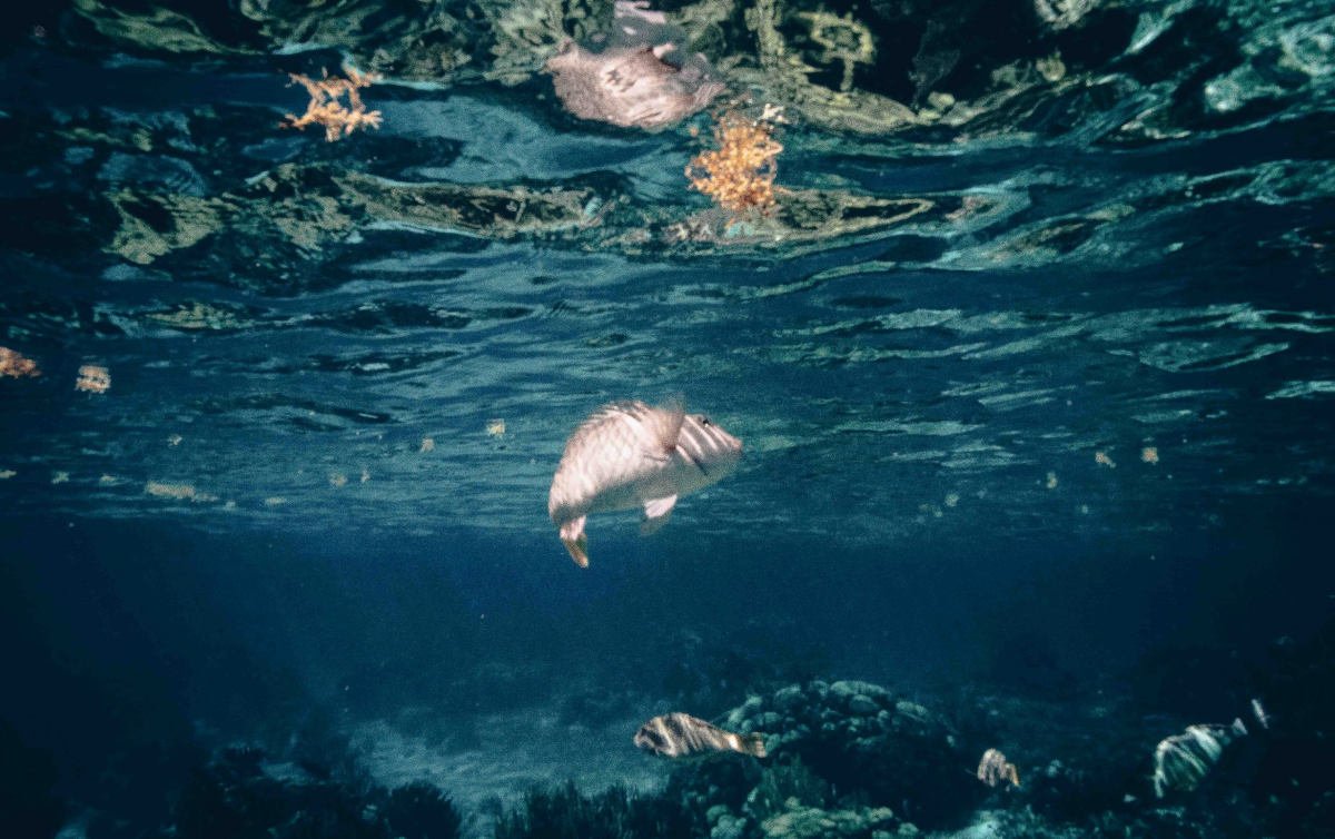 Viajar a Belice