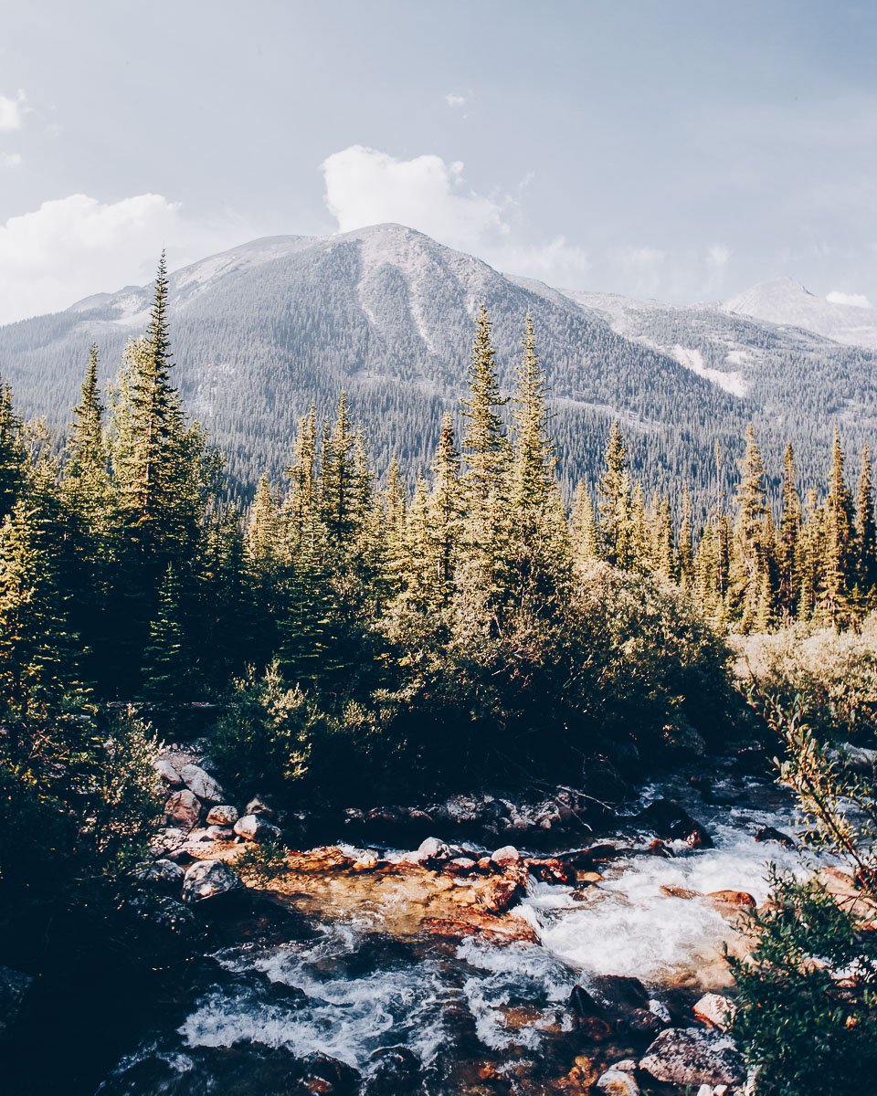 Alojamiento en Jasper_campings en Jasper