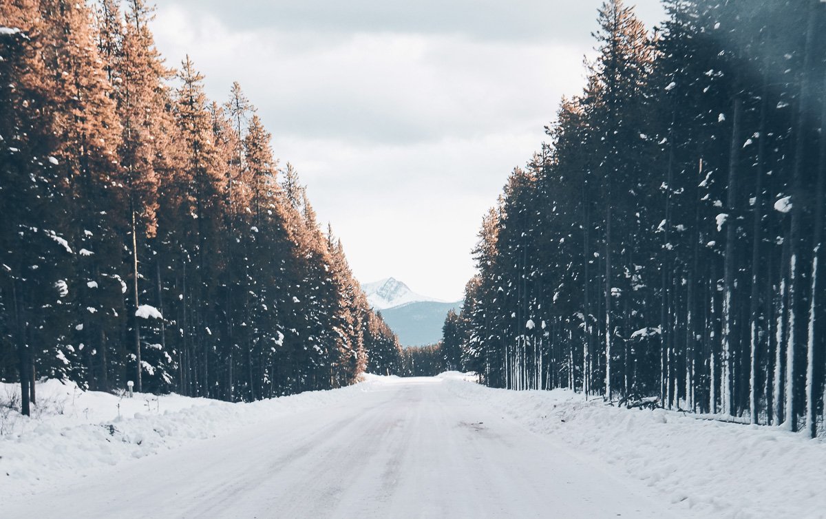 conducir en canada