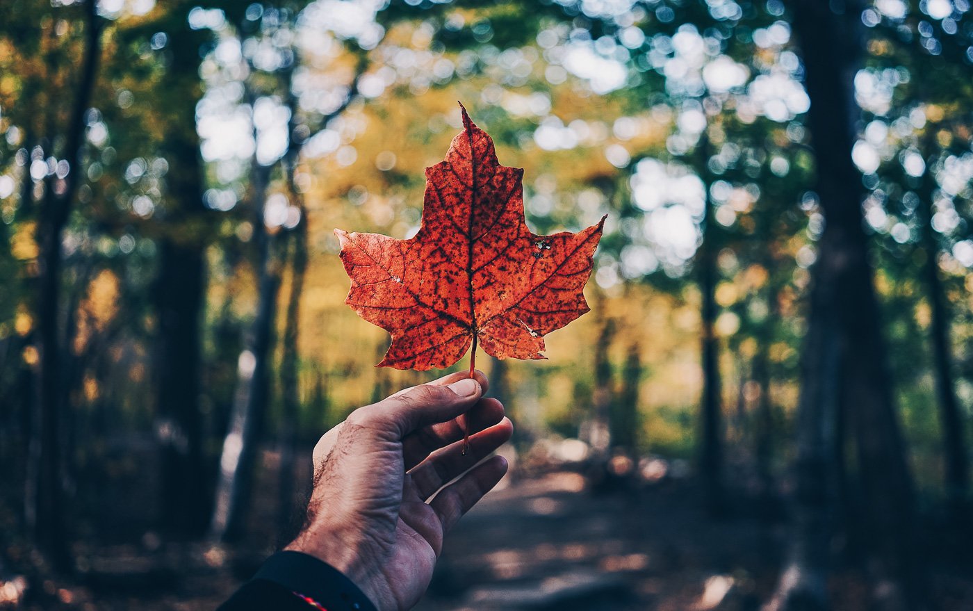 visa turista para canada